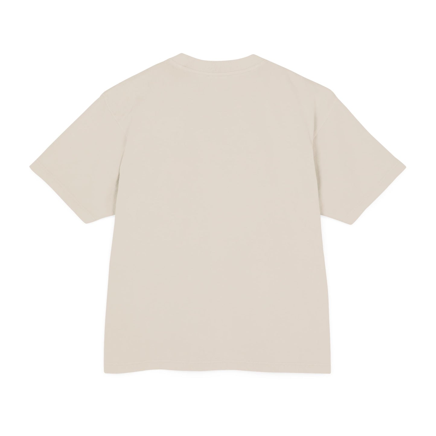 Venice Beach CAM 08 Unisex Urban Heavy Tee
