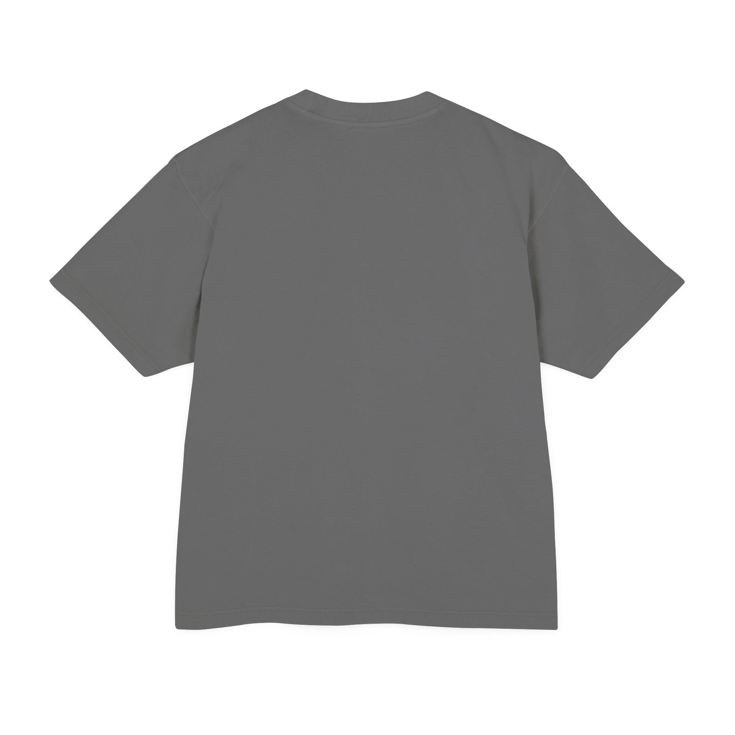 Venice Beach CAM 08 Unisex Urban Heavy Tee
