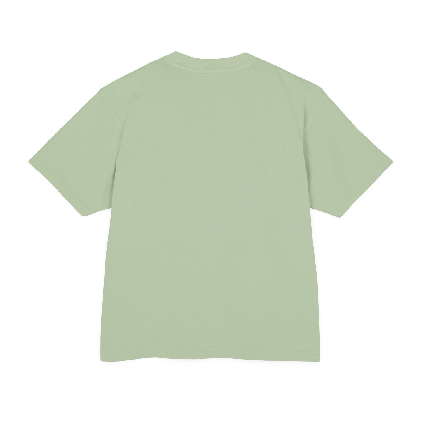 Venice Beach CAM 08 Unisex Urban Heavy Tee